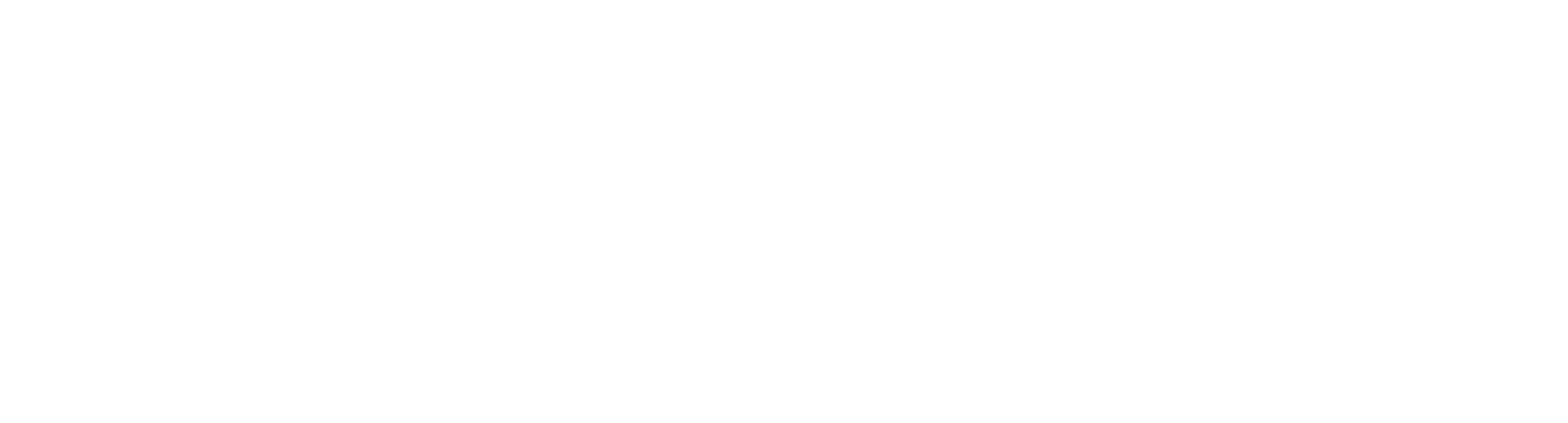 GerHisFin